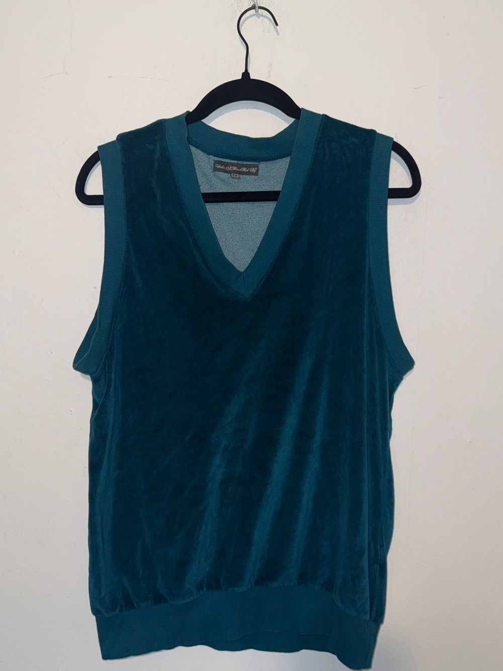 Sleeveless V-Neck Velvet Top in Teal